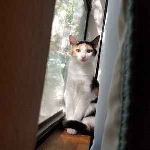 Meet your Posher, Skye